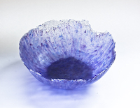 Purple Bloom